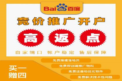 社交平台信息流竞价广告的投放策略与效果